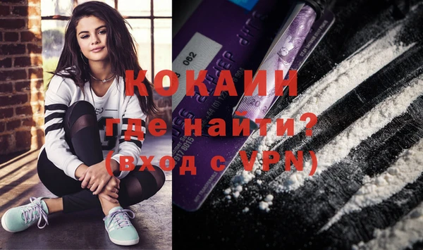 стаф Белокуриха