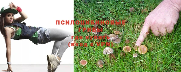 гидропоника Беломорск