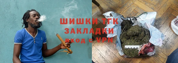 стаф Белокуриха